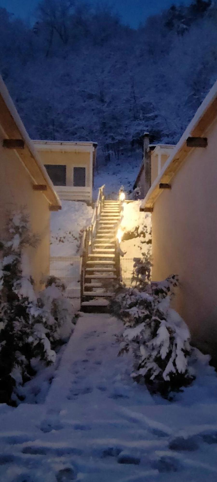 Bungalow Casa Corbilor Apartment Stanesti  Exterior photo